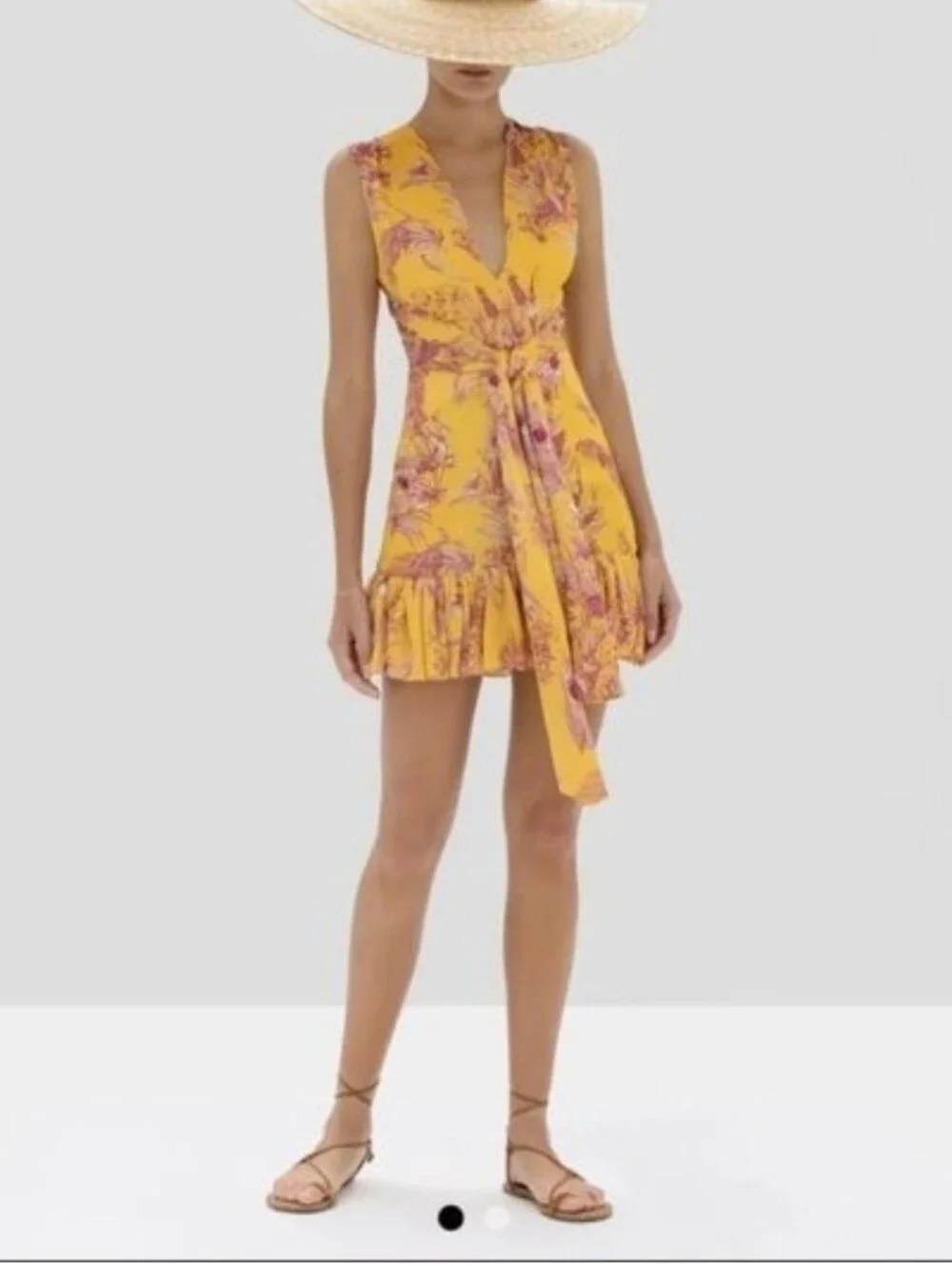 ALEXIS Cassara Floral Mini Dress Size M